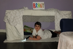 2.B-Brany