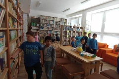 140e4d01-23ed-46b0-bc23-50c4355623ff-1