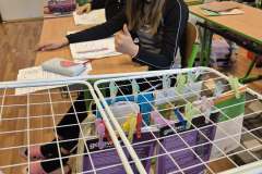 d533999e-2b0e-4e3c-aa97-2c2ad2de6287