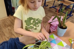 1_341486072_807539324332161_1151591253834396734_n