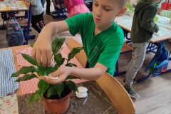 341423078_1160596681274376_6666742991544652741_n