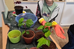 341481547_546835710963053_5556213142695594695_n