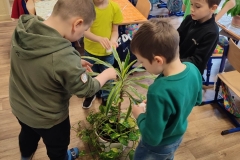 341489504_241241868404905_5294353575238049383_n