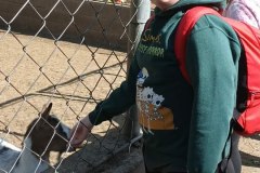 69731847-bf0c-4d8e-8e64-49759f933b90