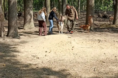 707f4752-64d0-4a1b-81eb-98bcc5ea3f49