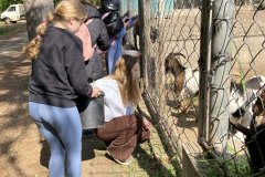 bb8e2f7f-9c9e-4b0b-bbc3-7e7e5c0cc661