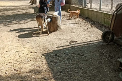 ccad78f5-e288-4485-aa97-e12352440b51