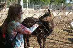 e4170643-f157-4d8a-aa96-509b34d4006c