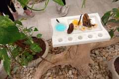 f2203486-b0f1-4552-88af-16ec46191066