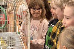 651430200_1953423028867230_4234096827290231619_n