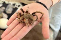 651629684_1448418326689233_7974198926026094428_n