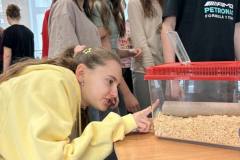 652326199_1849863212392319_4181147444118860638_n