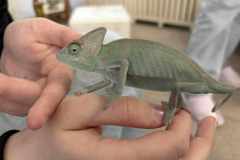 652816182_972473042107020_9106704622983713878_n