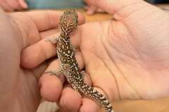 653655169_1471721844429300_1875905693814181396_n