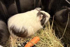 653822497_1444531004001115_3096893544306473045_n