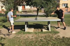 IMG-1378