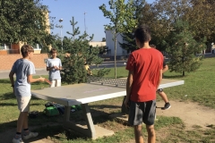 IMG-1390