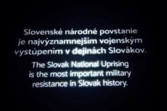 1000011251