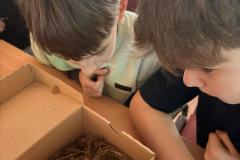 614754930_769651095541831_7015036767060976975_n