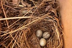 618657860_765617209894530_6947884151641962377_n