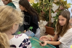 Mini Zoo na Bethlenke