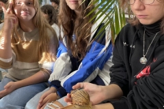 29