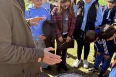 resize_image_68fa784205044 resize_image_68fa784205044