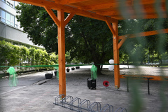 DSB_1165