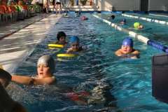 c1b14676-7498-42b1-a09a-534b31aca2b7