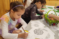 IMG_20251010_081136