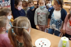 125316419_2724091304474560_5481467555055006794_n