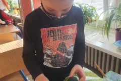 165558817_295578271982076_1260497804382799234_n