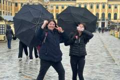 c5e20365-7ade-471c-97aa-09c61203c2dc