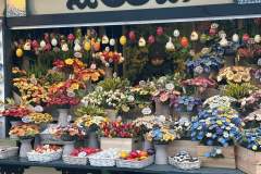 ee0c1487-7707-4c1f-96d1-44db14f4254e