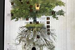 f7e20915-ebd8-4834-b91e-ec81d554f113